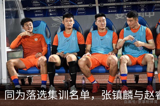 同为落选集训名单，张镇麟与赵睿的境遇差异何在？